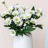 Daily Fresh Flower for Flower Pot