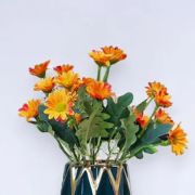 Daily Fresh Flower for Flower Pot