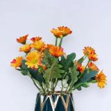 Daily Fresh Flower for Flower Pot