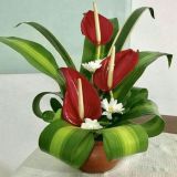 Daily Fresh Flower for Flower Pot