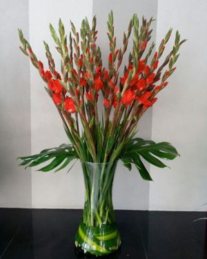 Daily Fresh Flower for Flower Pot