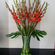 Daily Fresh Flower for Flower Pot