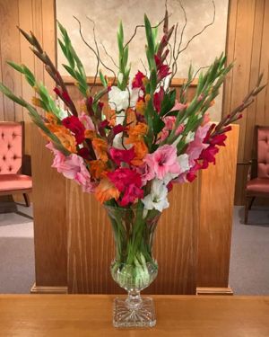 Daily Fresh Flower for Flower Pot