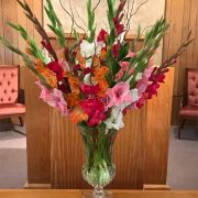 Daily Fresh Flower for Flower Pot