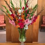 Daily Fresh Flower for Flower Pot