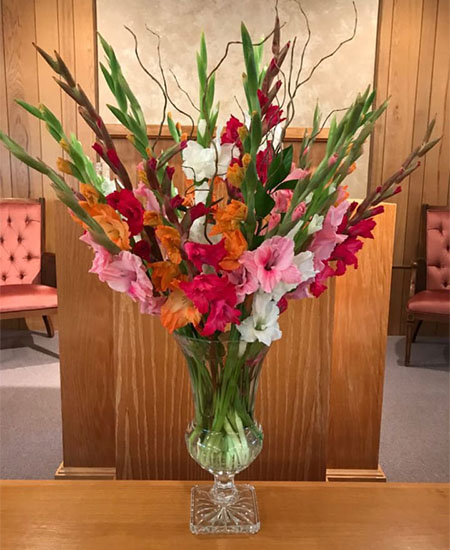 Daily Fresh Flower for Flower Pot