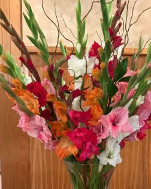 Daily Fresh Flower for Flower Pot