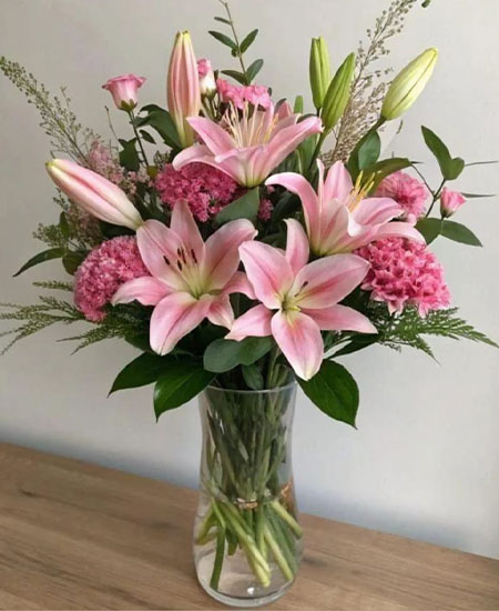 Daily Fresh Flower for Flower Pot