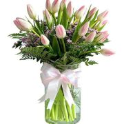 Daily Fresh Flower for Flower Pot