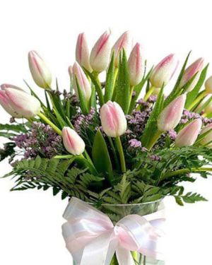 Daily Fresh Flower for Flower Pot