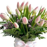 Daily Fresh Flower for Flower Pot