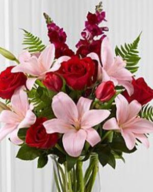 Daily Fresh Flower for Flower Pot