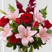 Daily Fresh Flower for Flower Pot