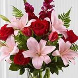 Daily Fresh Flower for Flower Pot