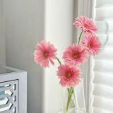 Daily Fresh Flower for Flower Pot