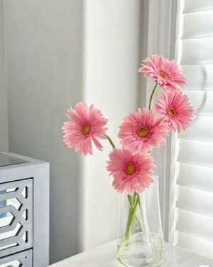 Daily Fresh Flower for Flower Pot