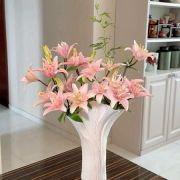 Daily Fresh Flower for Flower Pot