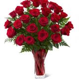 Daily Fresh Flower for Flower Pot