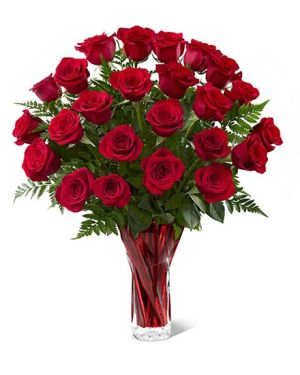 Daily Fresh Flower for Flower Pot