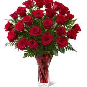 Daily Fresh Flower for Flower Pot