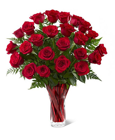 Daily Fresh Flower for Flower Pot