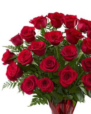 Daily Fresh Flower for Flower Pot