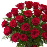 Daily Fresh Flower for Flower Pot