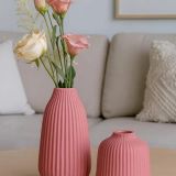 Daily Fresh Flower for Flower Pot