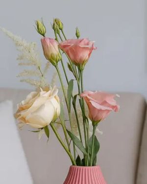 Daily Fresh Flower for Flower Pot