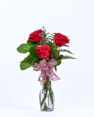 Daily Fresh Flower for Flower Pot