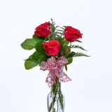 Daily Fresh Flower for Flower Pot