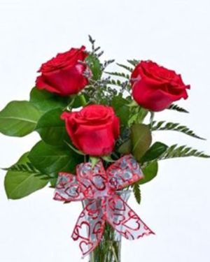 Daily Fresh Flower for Flower Pot