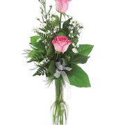 Daily Fresh Flower for Flower Pot