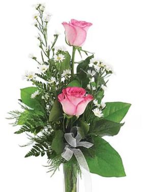 Daily Fresh Flower for Flower Pot