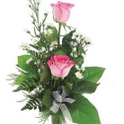 Daily Fresh Flower for Flower Pot