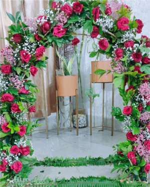 Backdrop 1