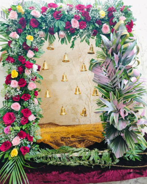 Backdrop 5
