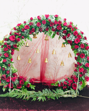 Backdrop 6