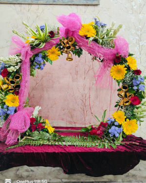 Backdrop 8