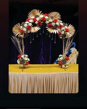 Backdrop 114