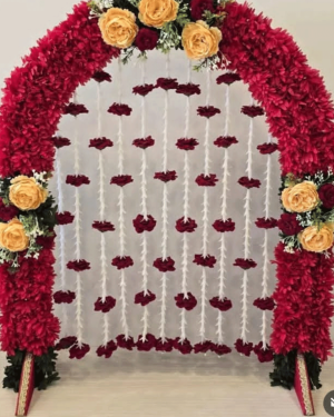 Backdrop 14
