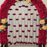Backdrop 14