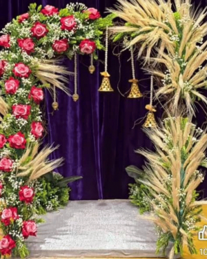 Backdrop 18