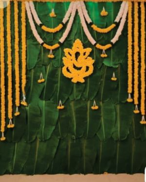 Backdrop 23
