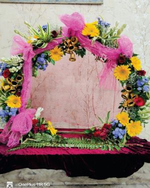 Backdrop 24